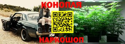 гашиш Кимры