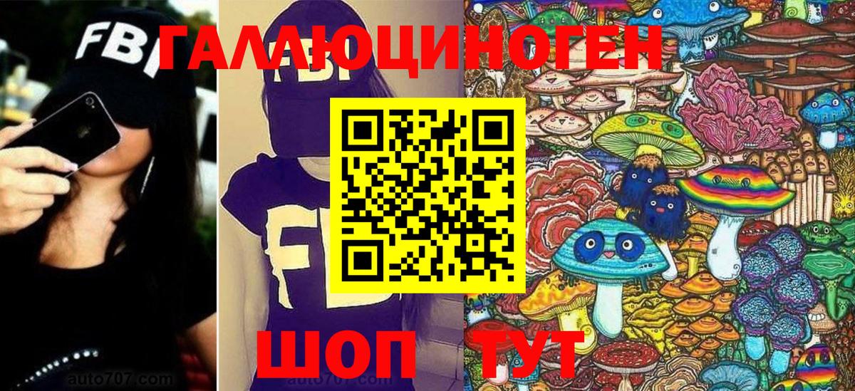 Киселёвск  Псилоцибиновые грибы мухоморы  Вход с VPN  Галлюциногенные грибы Psilocybe 